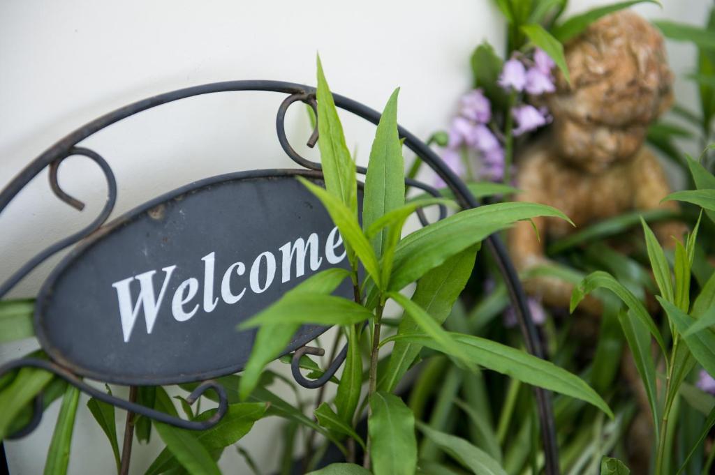 Bed & Breakfast Molenaar *