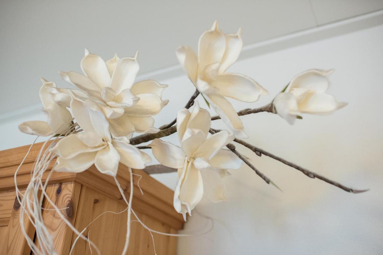 Bed & Breakfast Molenaar